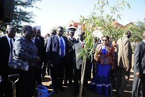President  Mugabe about to plant the tree
