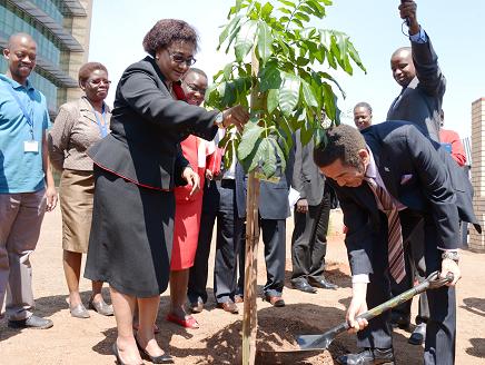 The Chairperson planting the tree
